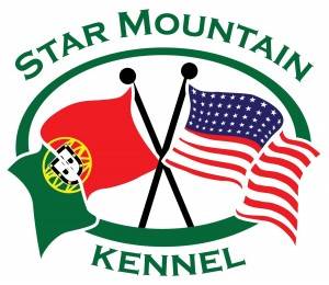 Star Mountain Kennel No Dog Logo