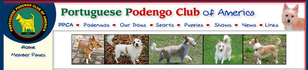Portuguese Podengo Club of America