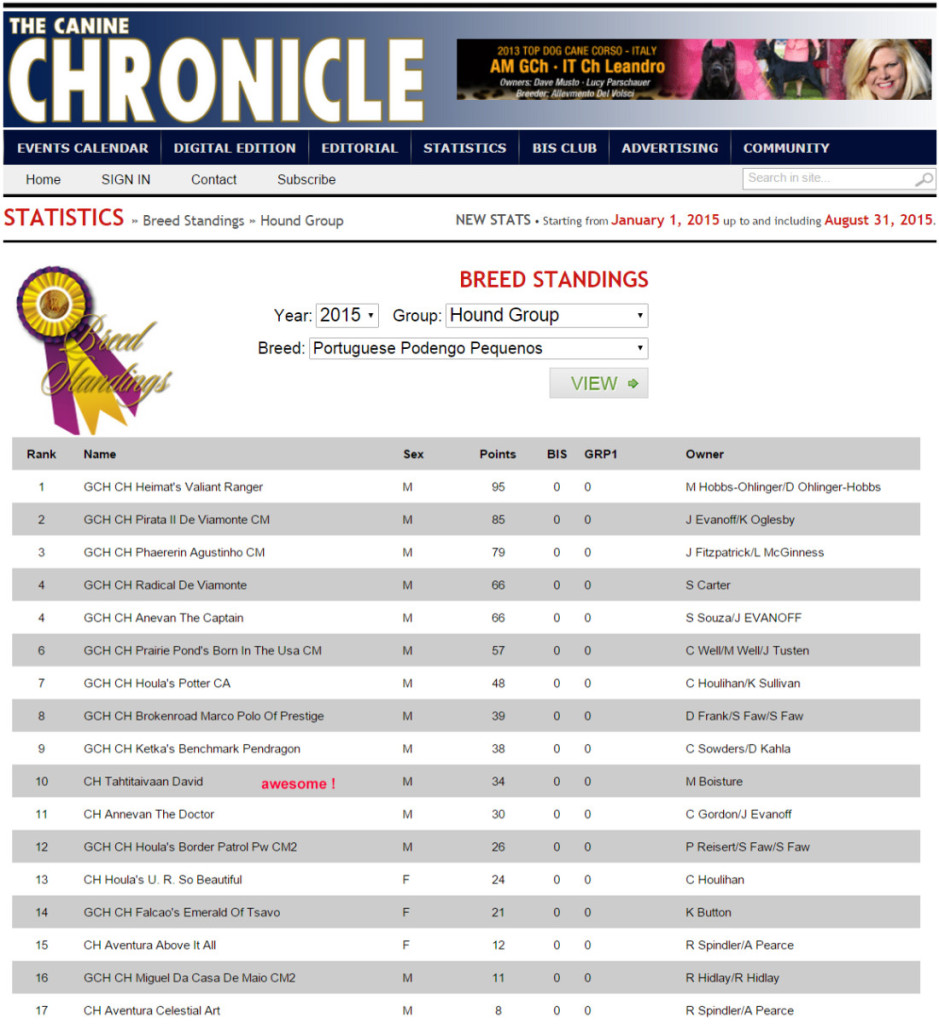 Canine Chronicle ranking of the top podengo pequenos in the AKC