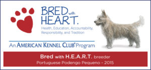 StarMountain is a proud member of the AKC Bred with H.E.A.R.T. Progam