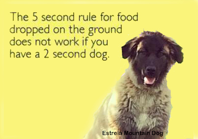 5second rule