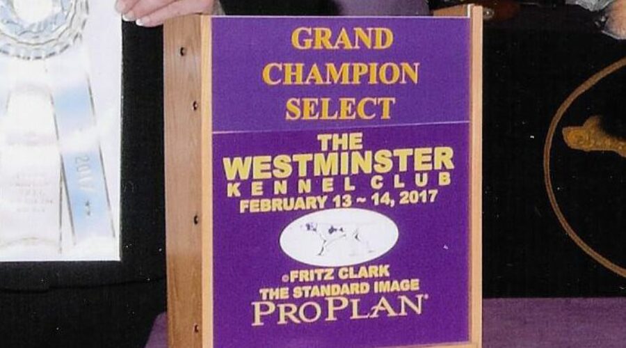 Cabrita’s Official Westminster Win Picture  !!
